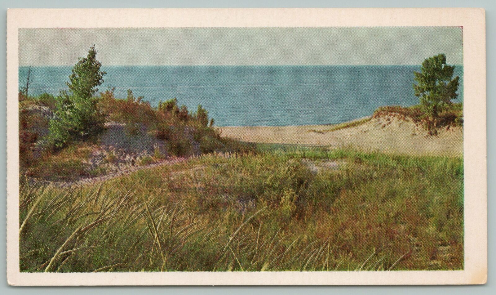 Indiana~indiana Dunes Lakeshore Off Lake Michigan~vintage Postcard